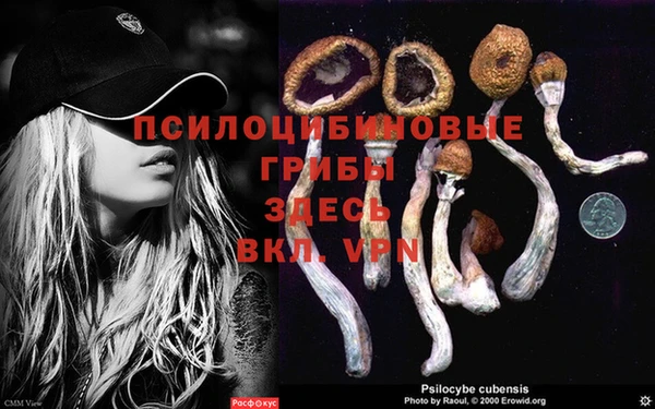 МДМА Богородицк