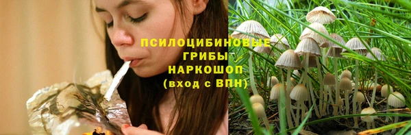 МДМА Богородицк